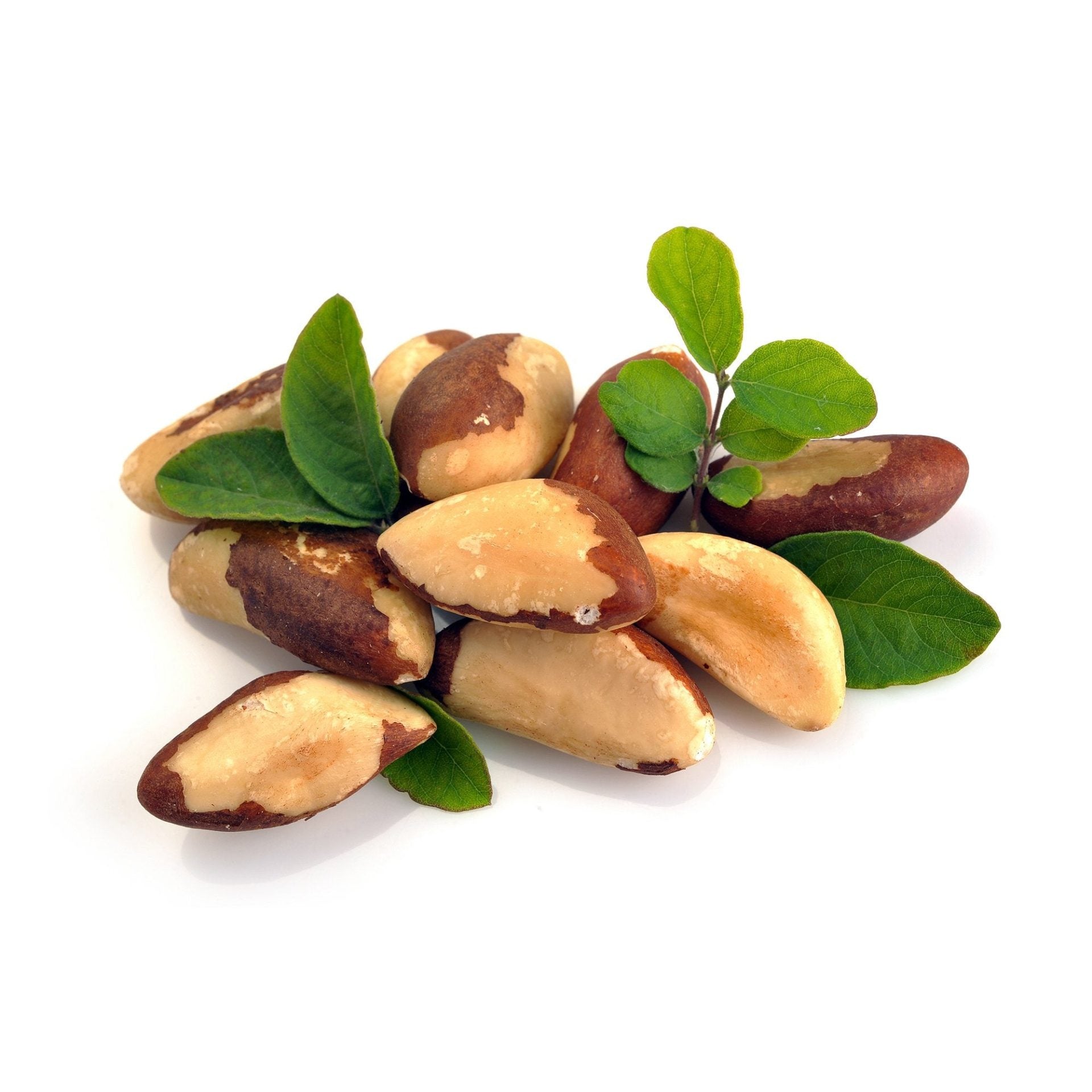 Swanson Certified Organic Brazil Nuts - Unsalted, Raw, Whole 6 oz